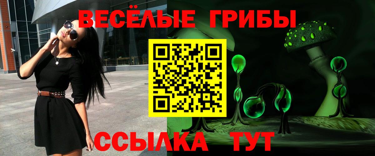Псилоцибиновые грибы мухоморы  купить наркотики сайты  Назарово  Вход с VPN 